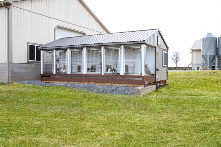 commercial dog kennel laws in ohio