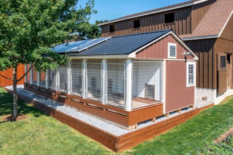 commercial dog kennel laws in oregon