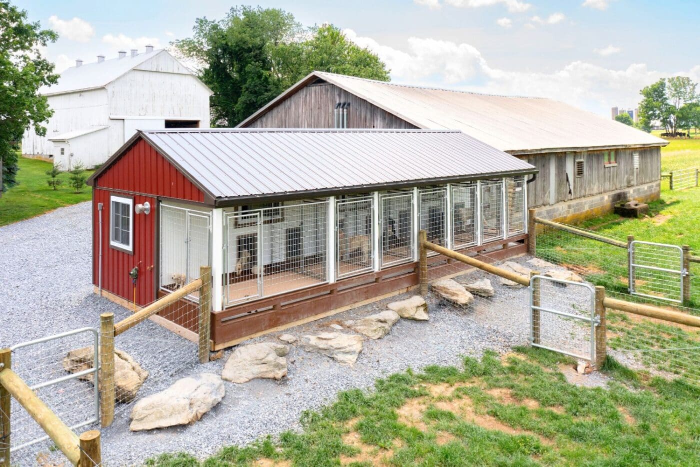 commercial dog kennel regulations by industry