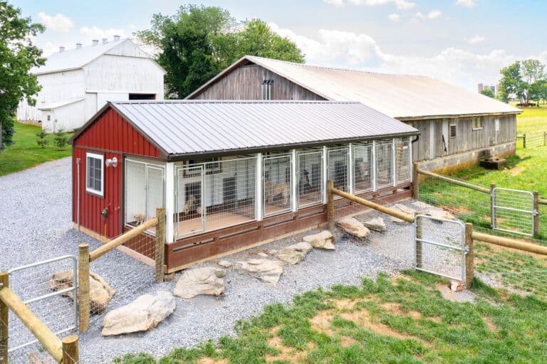 commercial dog kennel regulations by industry