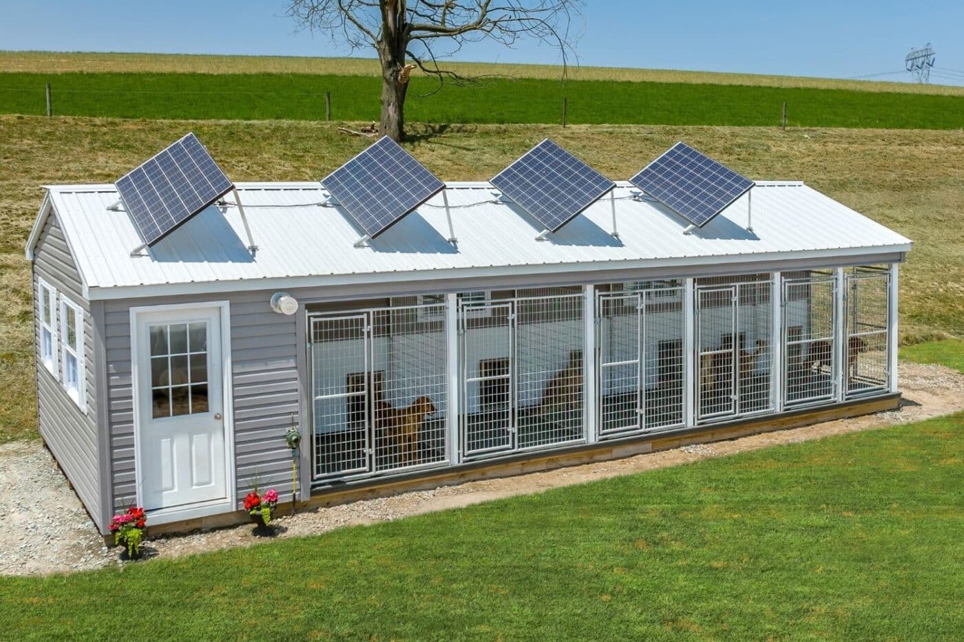 commercial dog kennel regulations in minnesota