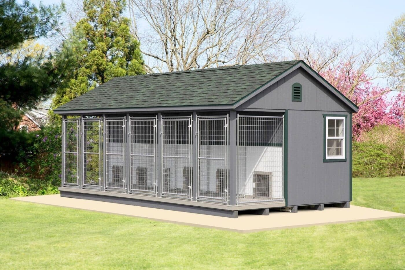 commercial dog kennel regulations massachusetts