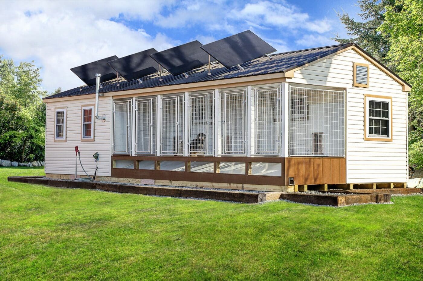 Commercial Dog Kennel with Roof