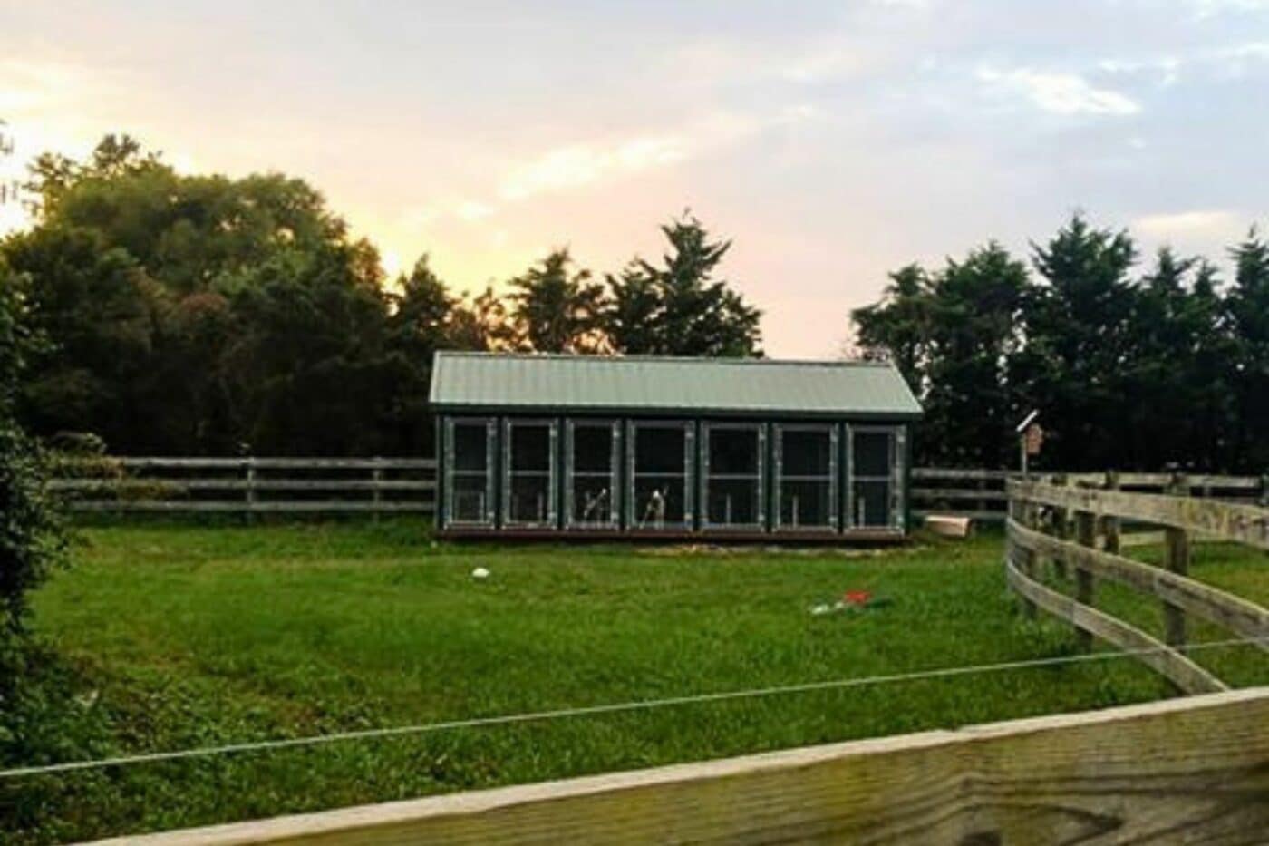 dog kennels for sale in jacksonville fl - dog kennels by breed