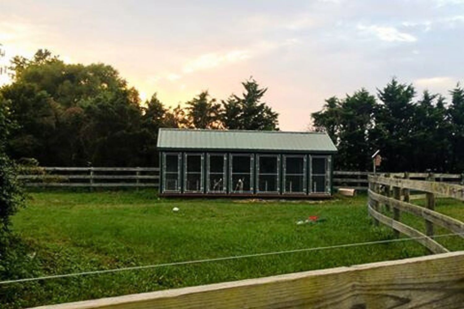 dog kennels for sale in delaware- completed kennel