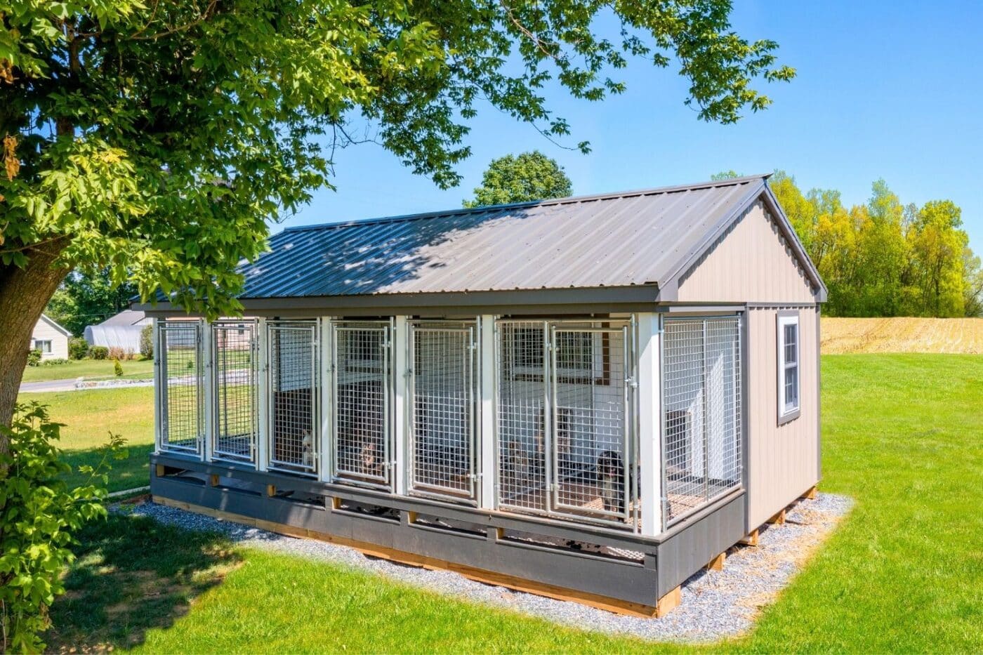 commercial dog kennels in arkansas