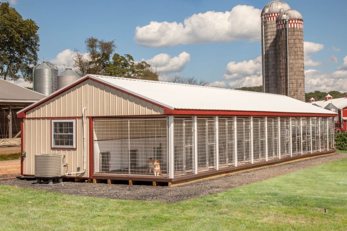 custom commercial dog kennel for sale in kansas