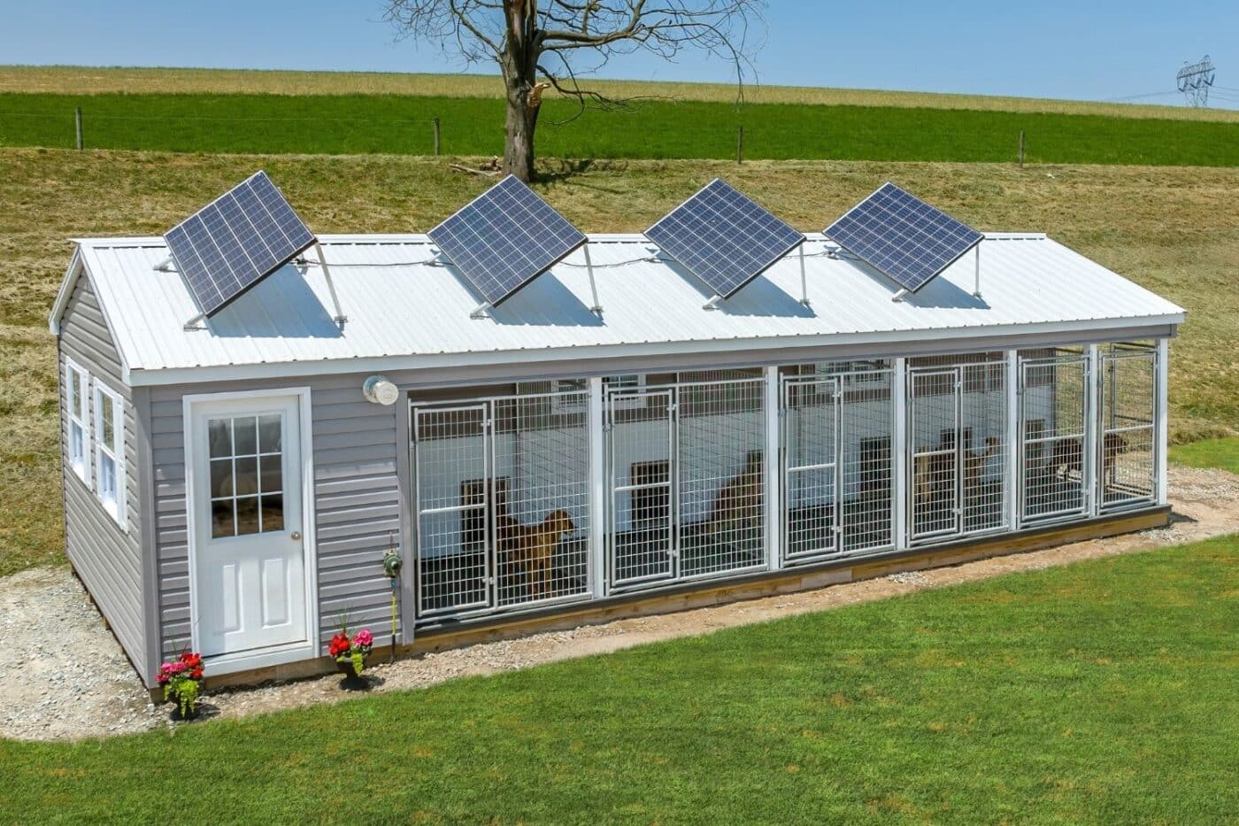 custom commercial dog kennel with solar panels in Utah
