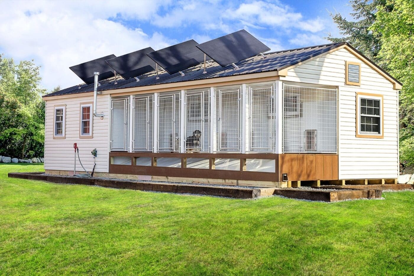 custom commercial dog kennels for sale in michigan