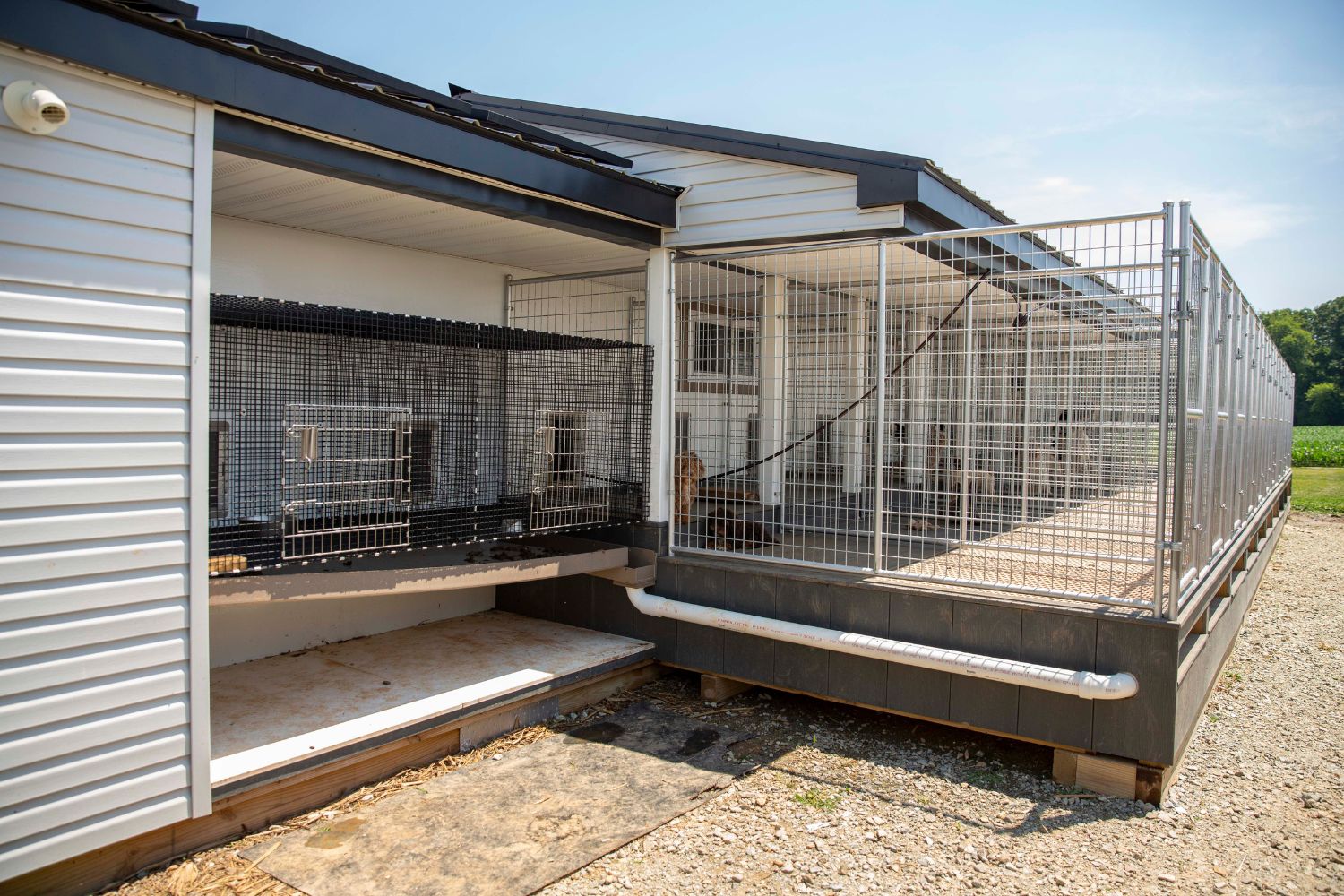 Custom Dog Kennels for Sale in Henderson NV