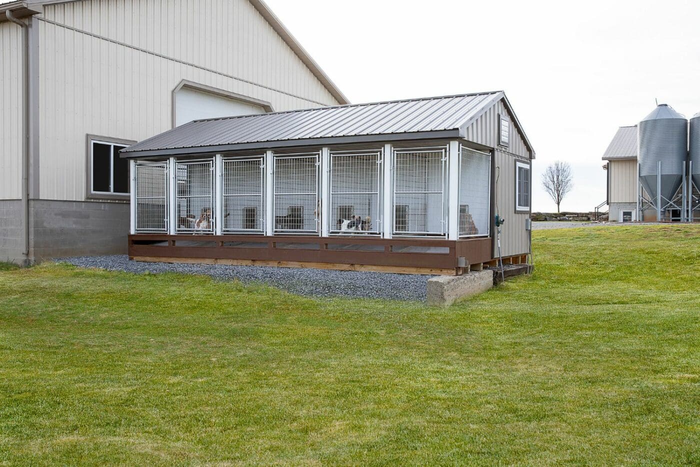 Custom Dog Kennels for Sale in Virginia Beach VA