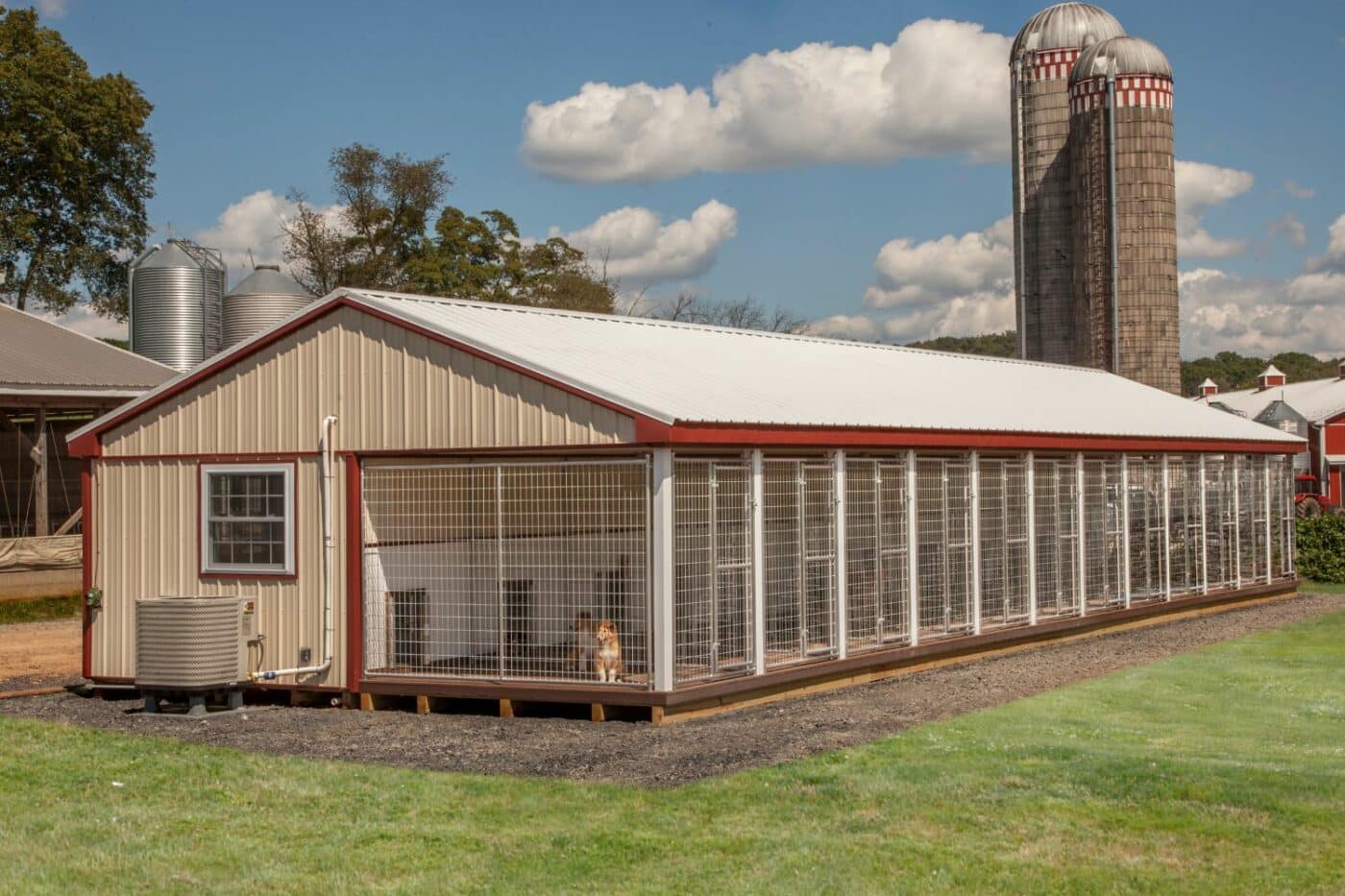 Custom dog kennels in Minneapolis MN