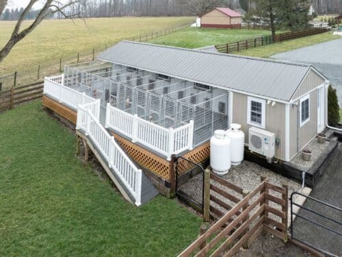 14x44 10-Run Commercial Kennel