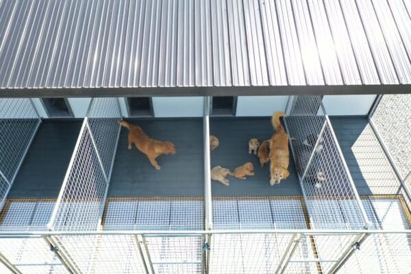 14x26 9-Run Commercial Kennel