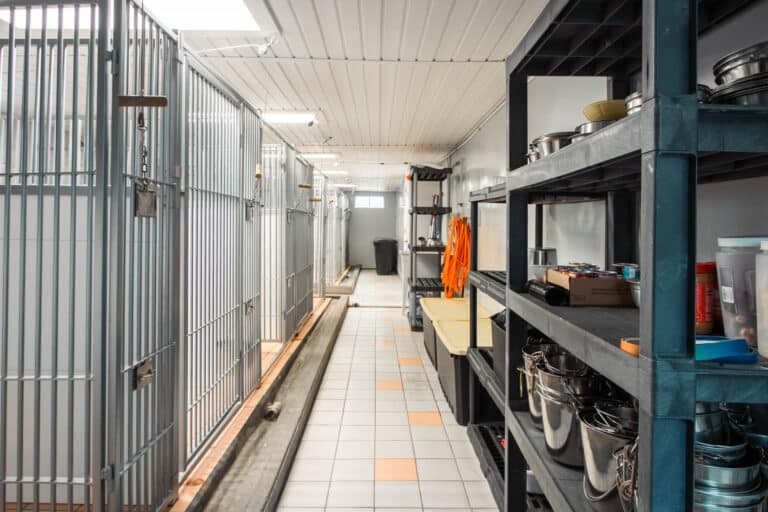 Dog Kennel Custom Panel Replacement in Connecticut