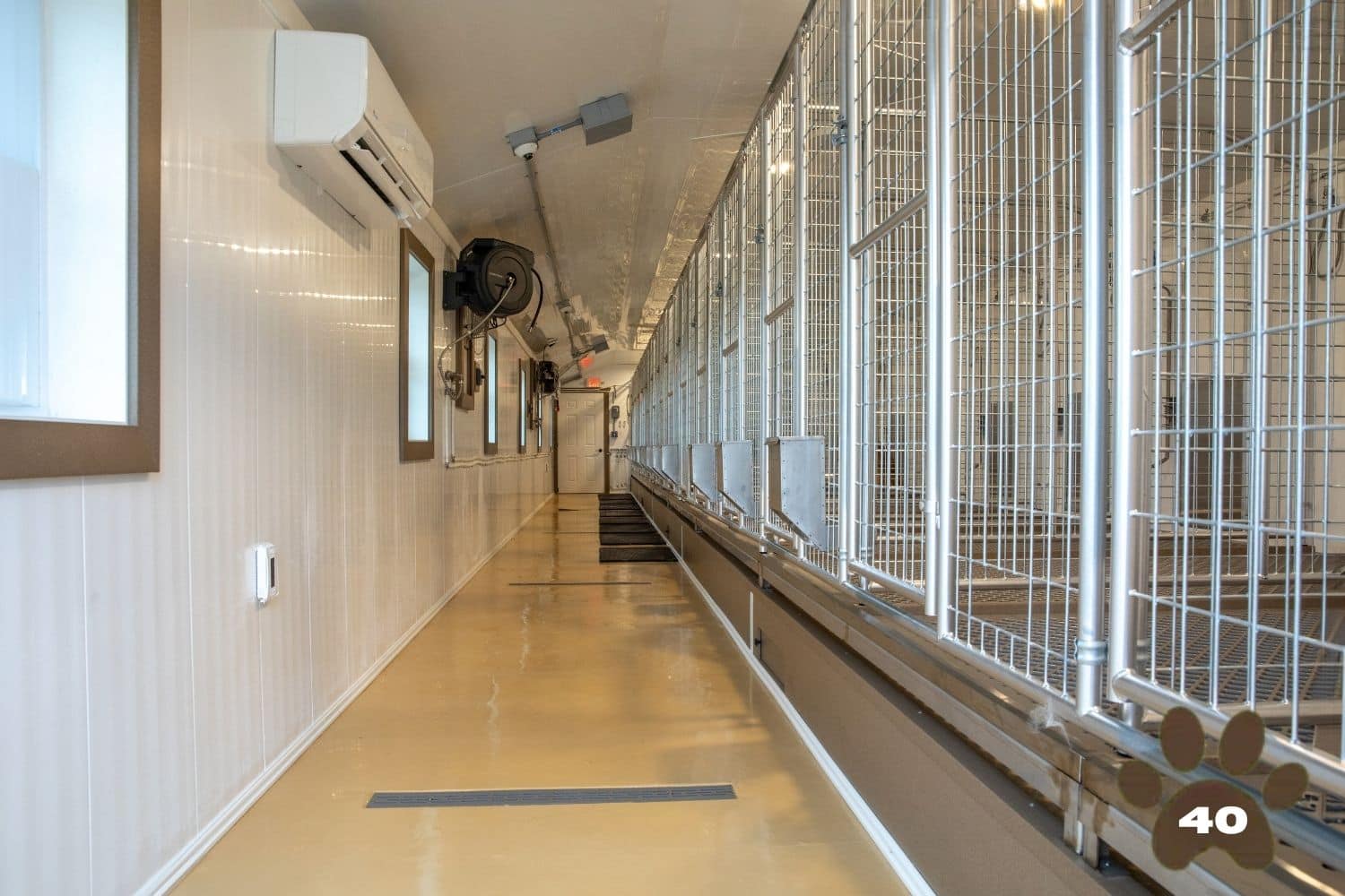 dog kennel for 40 dogs