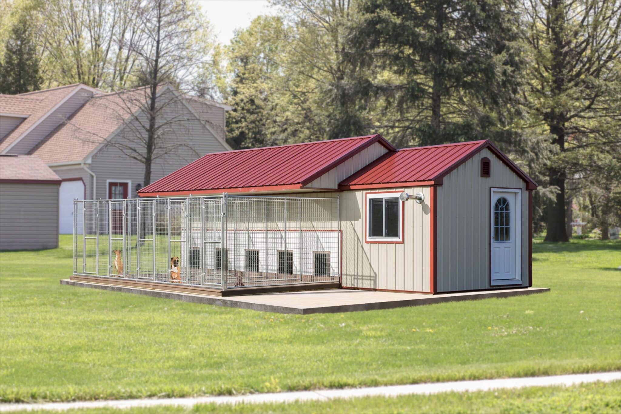 dog kennel for 5 dogs for sale in dallas texas
