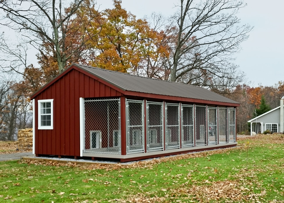 large red dog kennel for multiple dogs with 8 attached runs