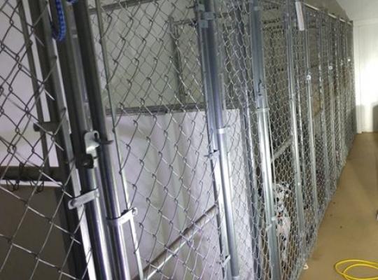 dog kennel in cap may new jersey