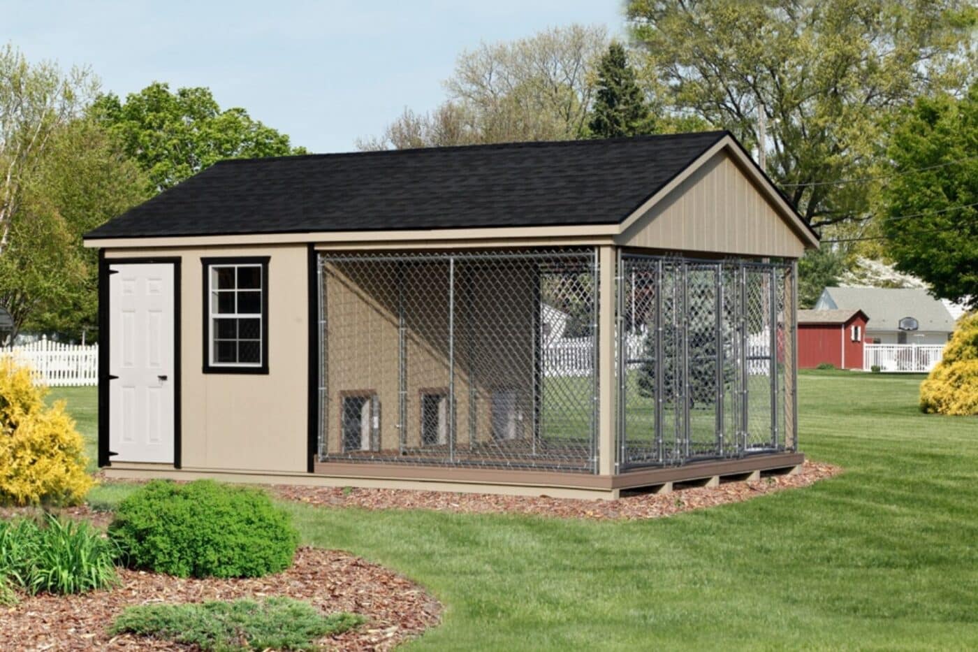 dog kennel laws in colorado