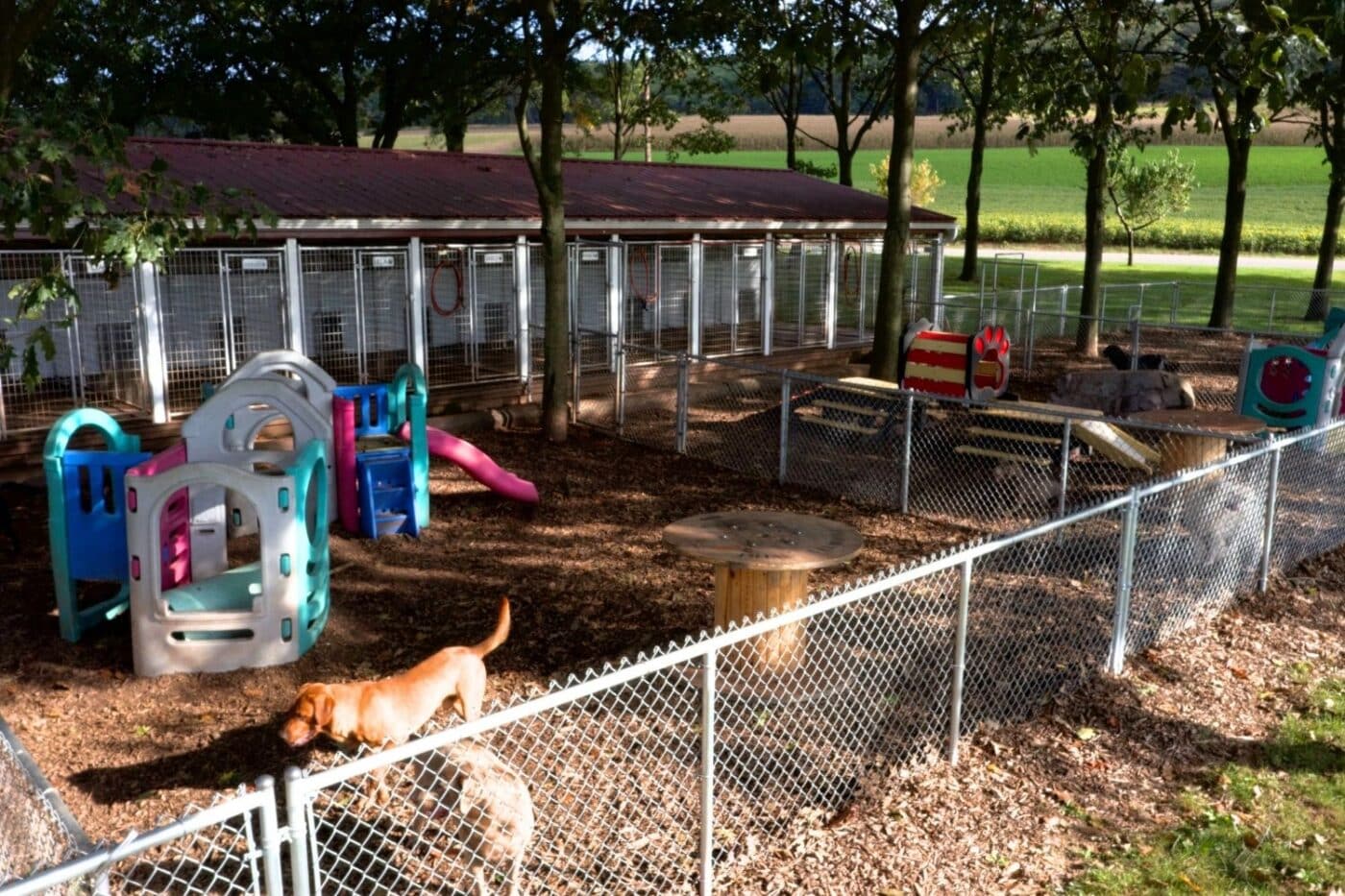 dog kennel laws in illinois