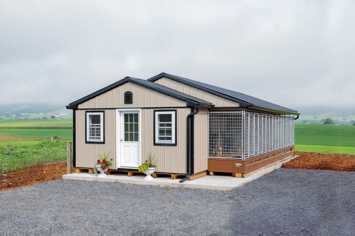 dog kennel laws in missouri