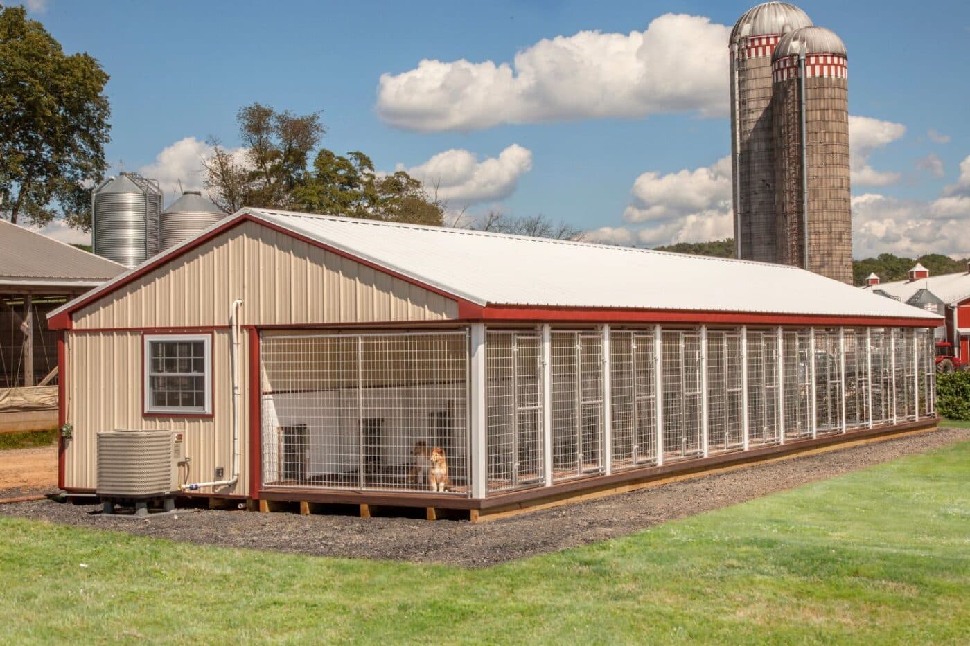 dog kennel laws in New Hampshire number of dogs