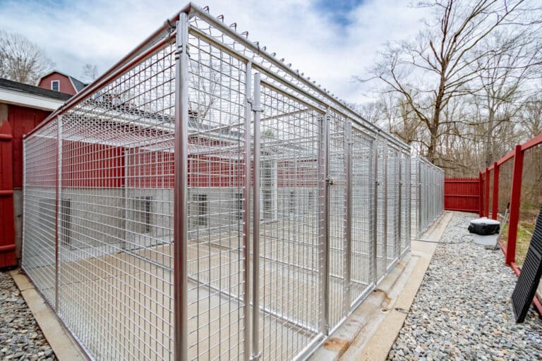 Dog Kennel Panel Replacement in Connecticut