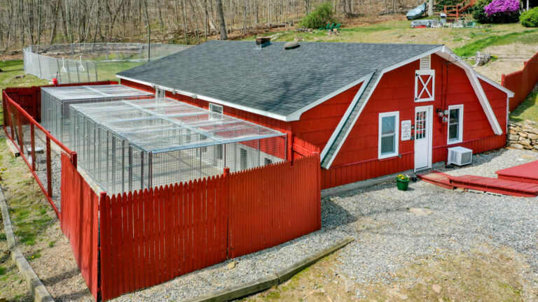Dog-Kennel-Panel-Replacement-in-Connecticut