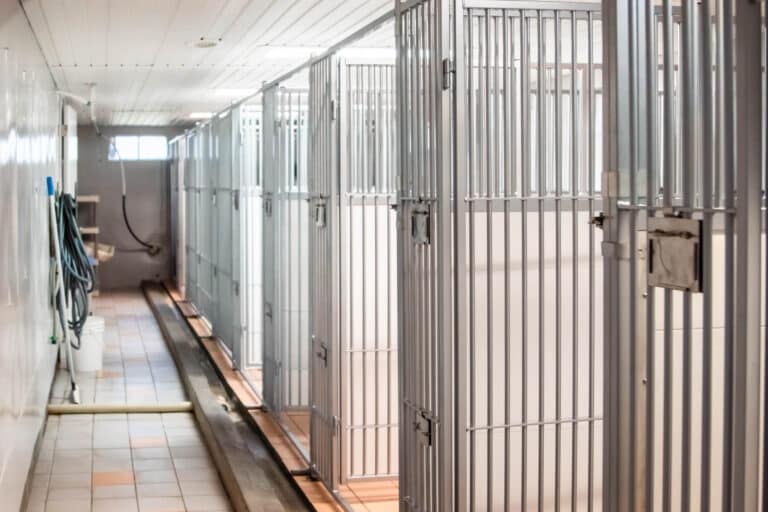 Dog Kennel Panel Replacement in Connecticut by the Dog Kennel Collection