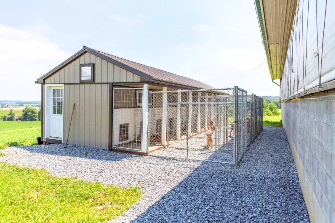 dog kennel regulations by industry in pennsylvania