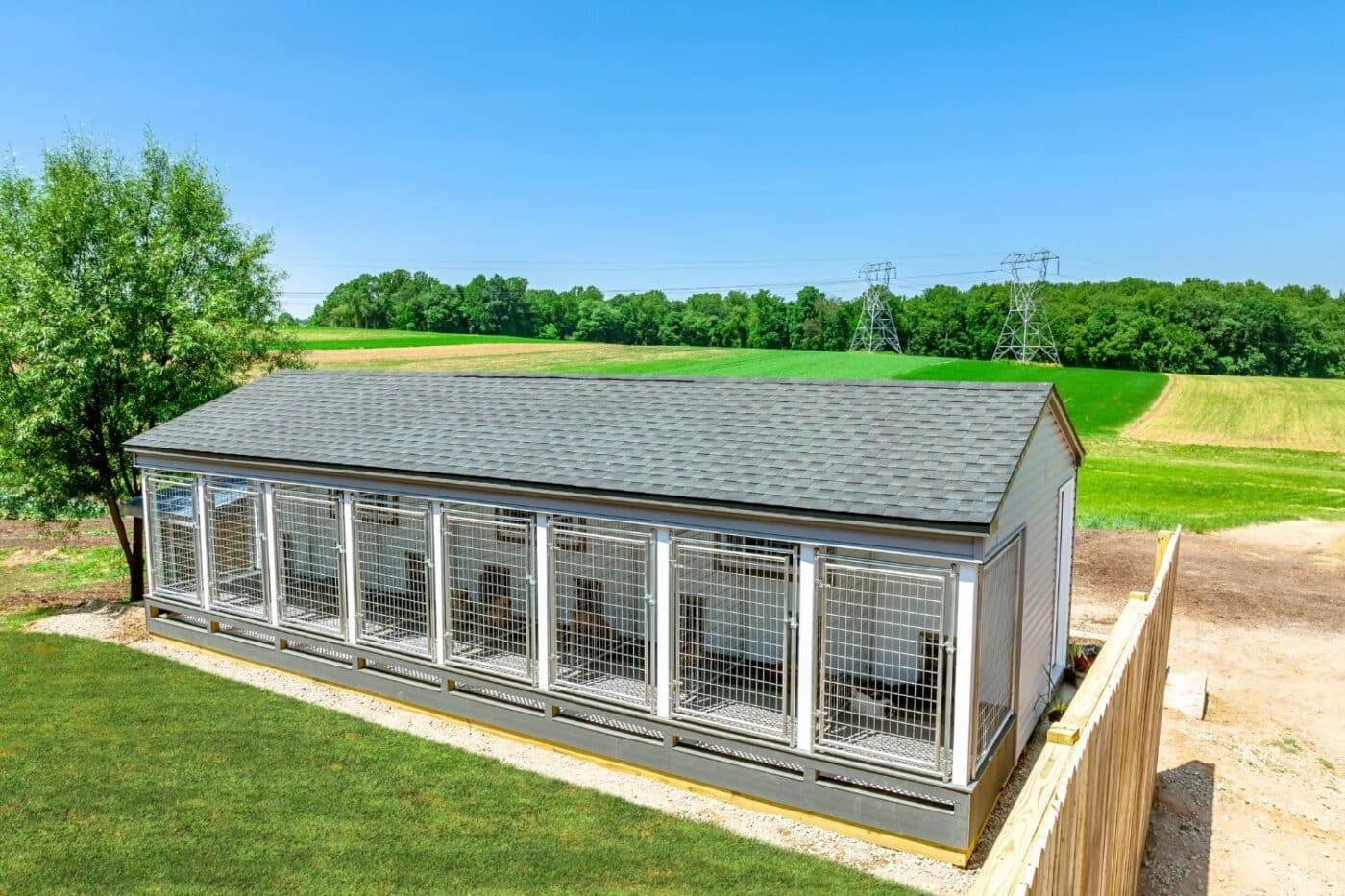 dog kennel regulations in nevada