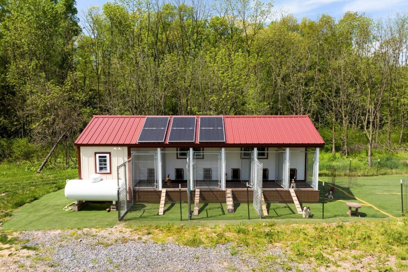 dog kennel with solar panels on the roof