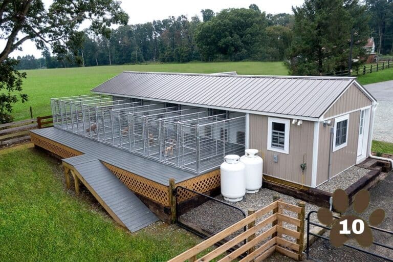 dog kennels for 10 dogs