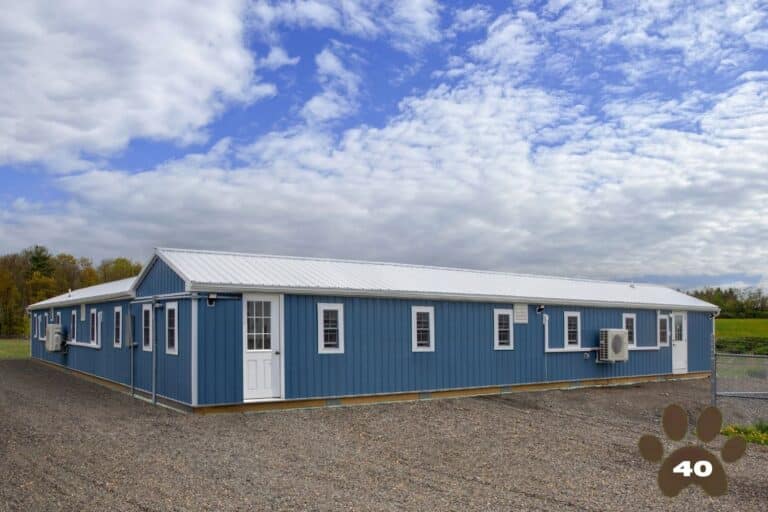dog kennels for 40 dogs