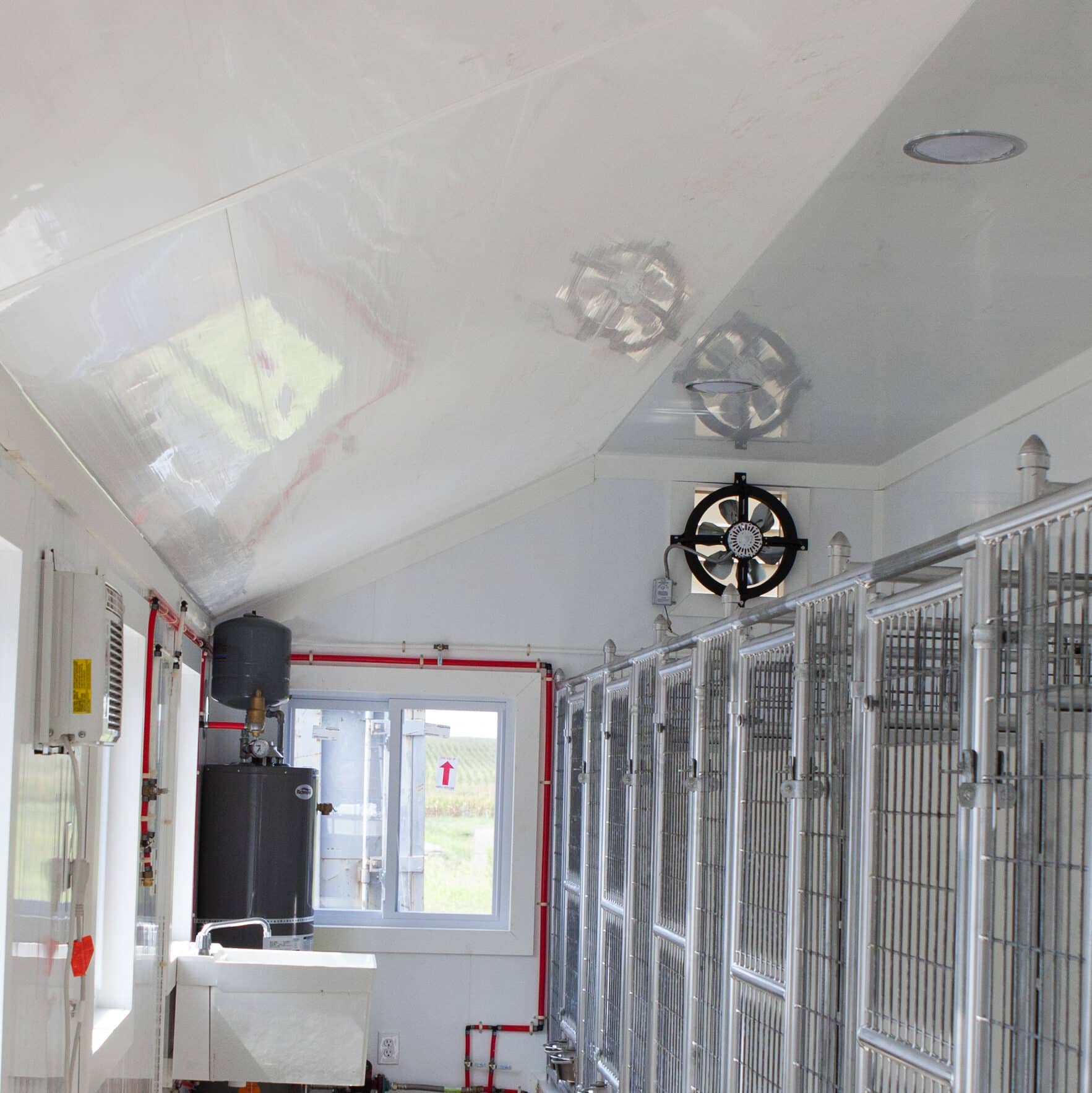 Dog Kennels for Boarding with High Ceiling