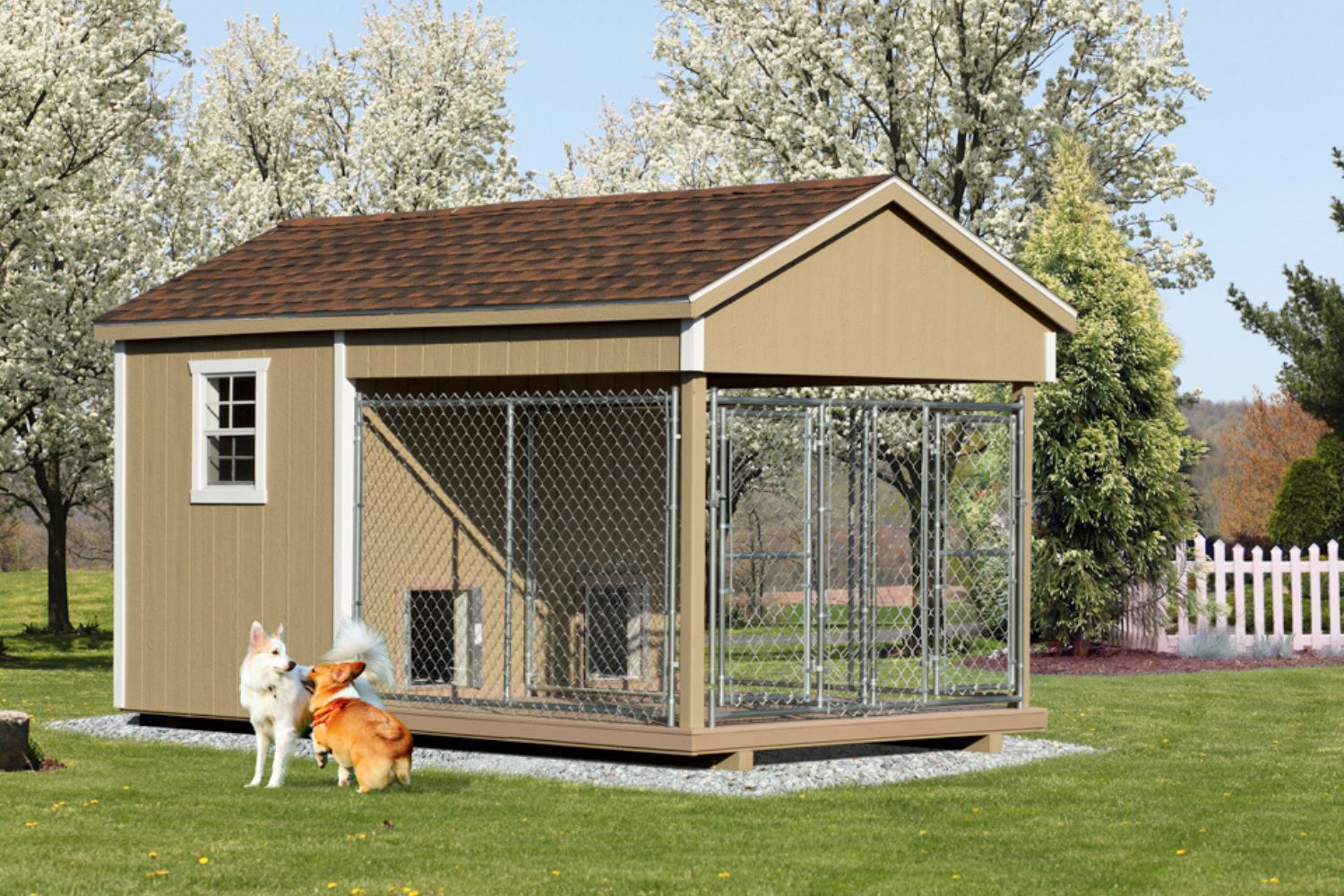 dog kennels for medium sized dogs