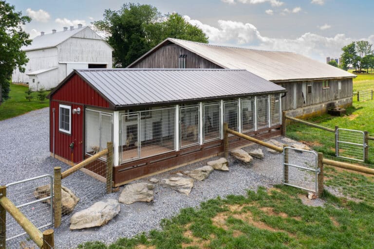 red dog kennels for sale in Billings MT