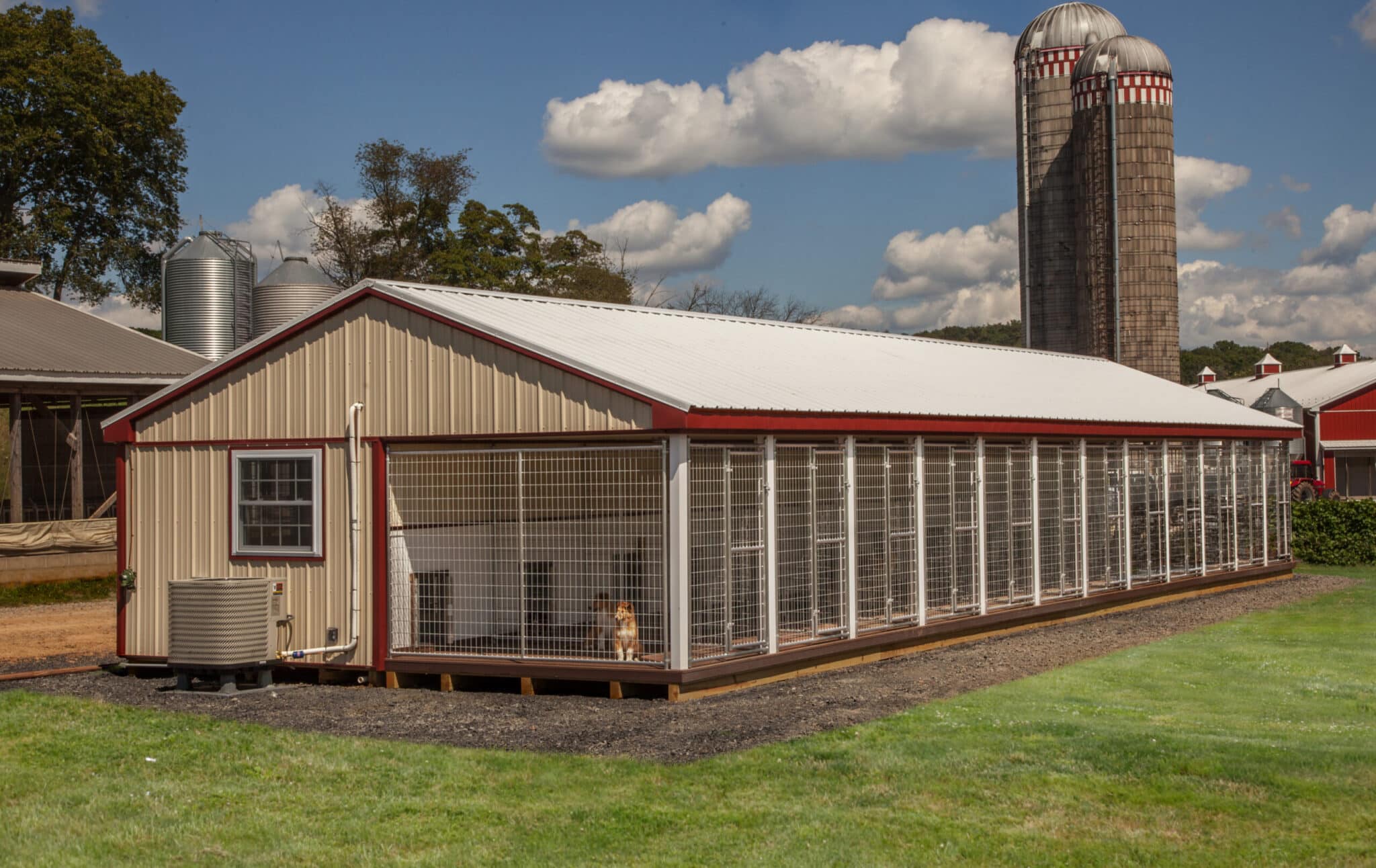 tan and red dog kennels for sale in Nampa ID with twelve runs and white roof