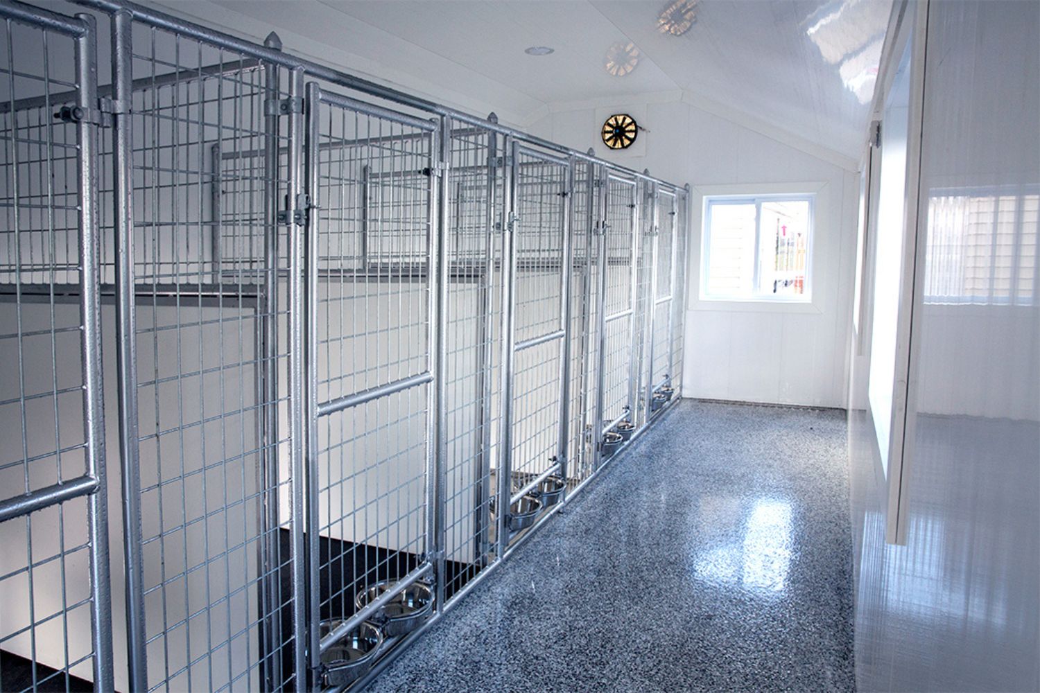 dog kennels in burlington nc- dog kennels