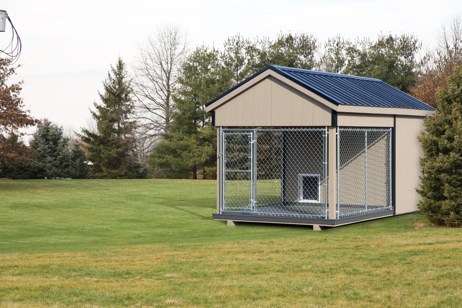 dog kennels in nolensville tn- commercial dog kennels (2)
