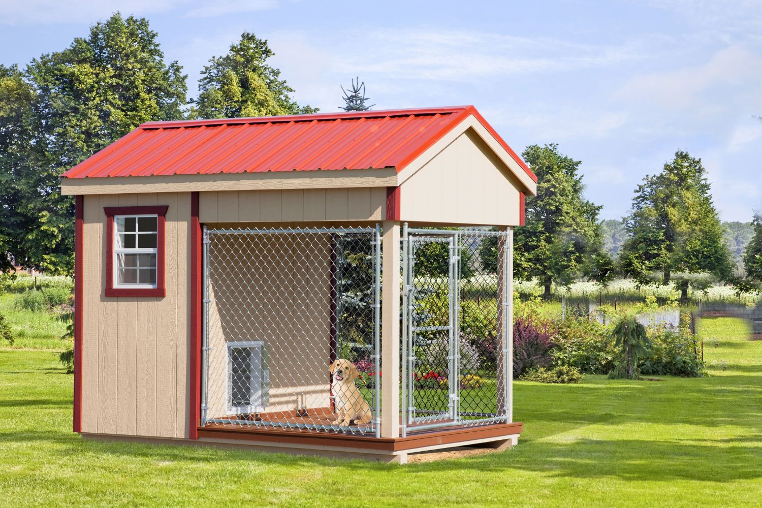 dog kennels in ruckersville va- dog kennels (1)