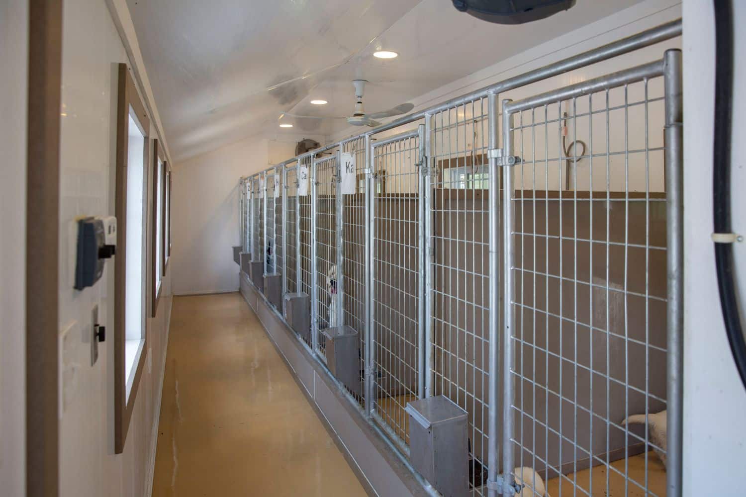 dog kennels in aberdeen sd