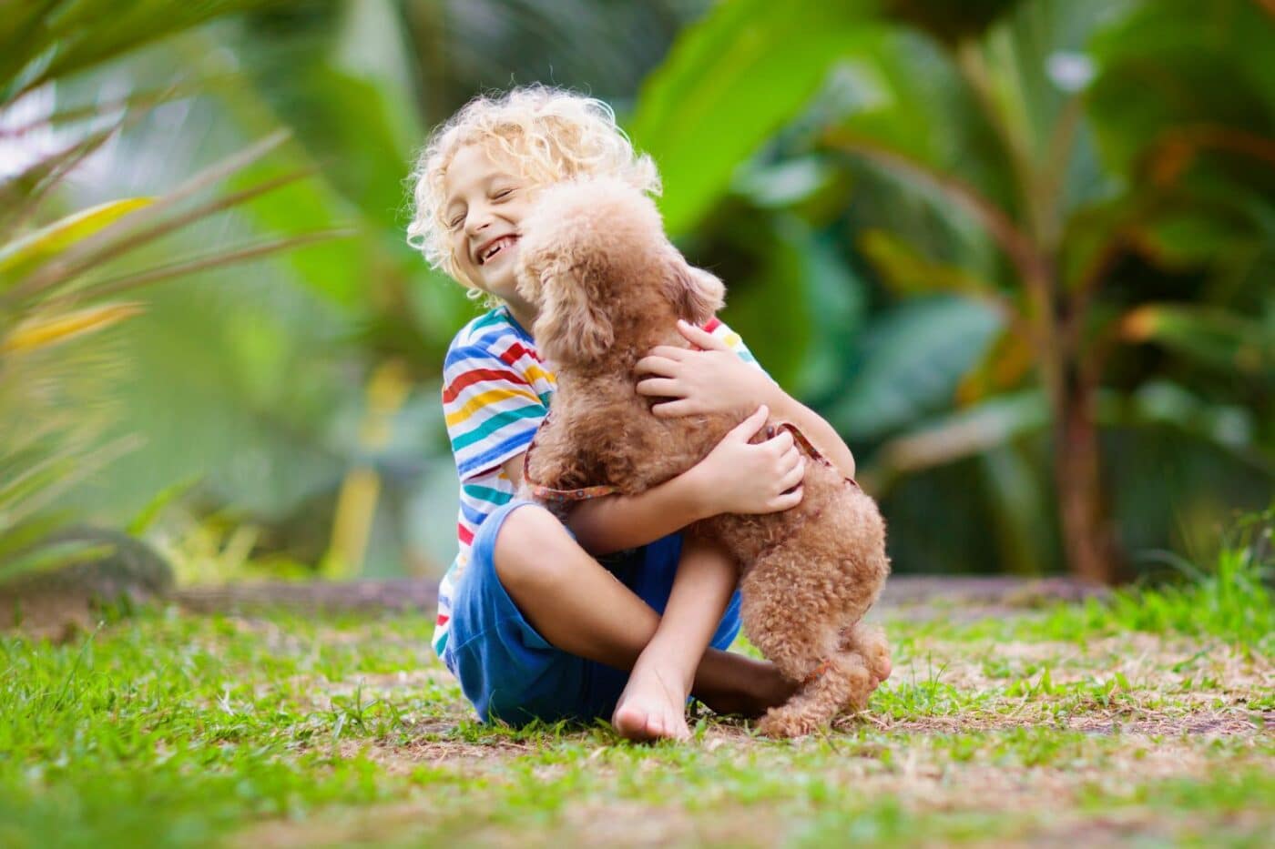 dogs and children