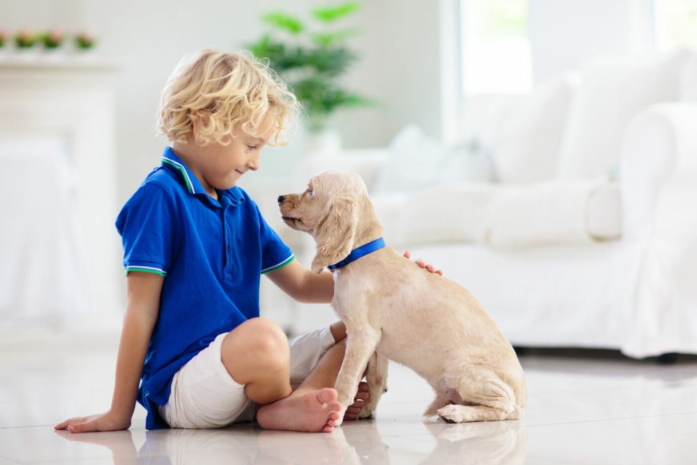 dogs and children playing together
