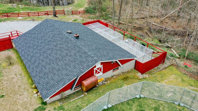 Exterior-Dog-Kennel-Panel-Replacement-in-Connecticut