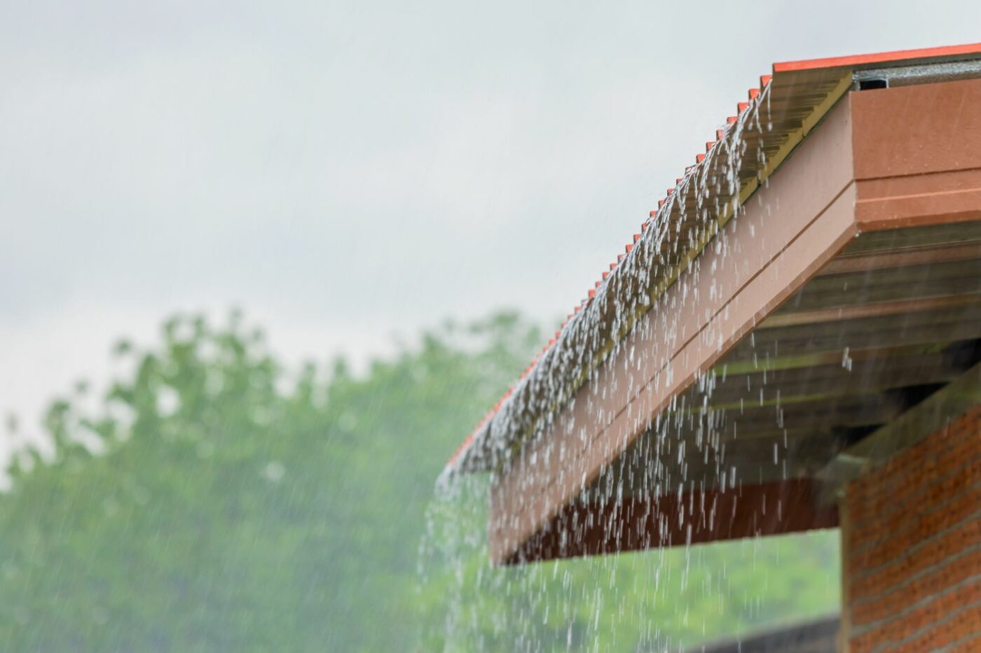 Flat Dog Kennel Roof Ideas