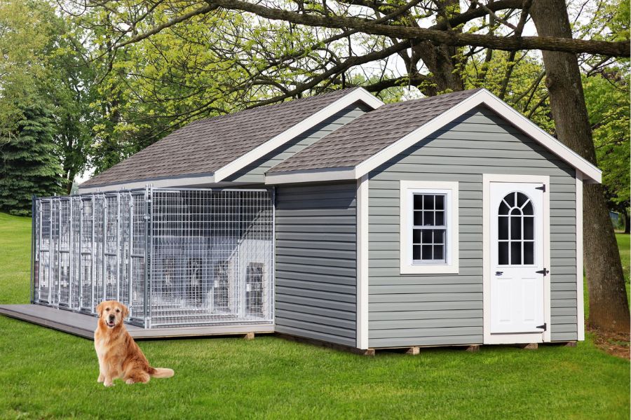 gray commercial dog kennel with five outdoor runs and a golden retriever sitting outside of it in the grass