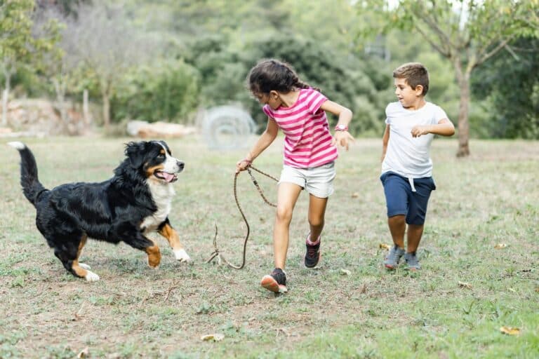 happy dogs and children