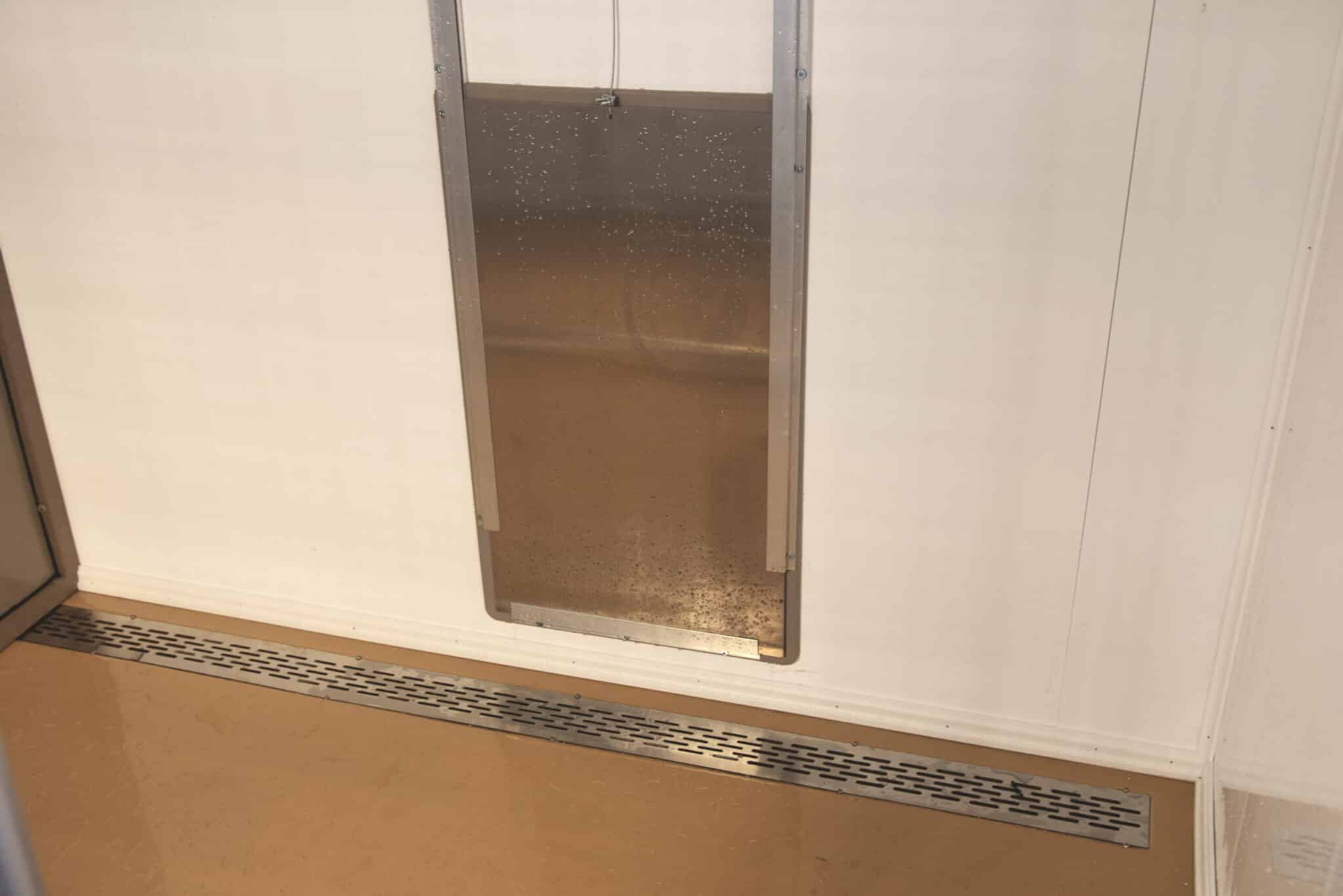 how to cleaning a dog kennel